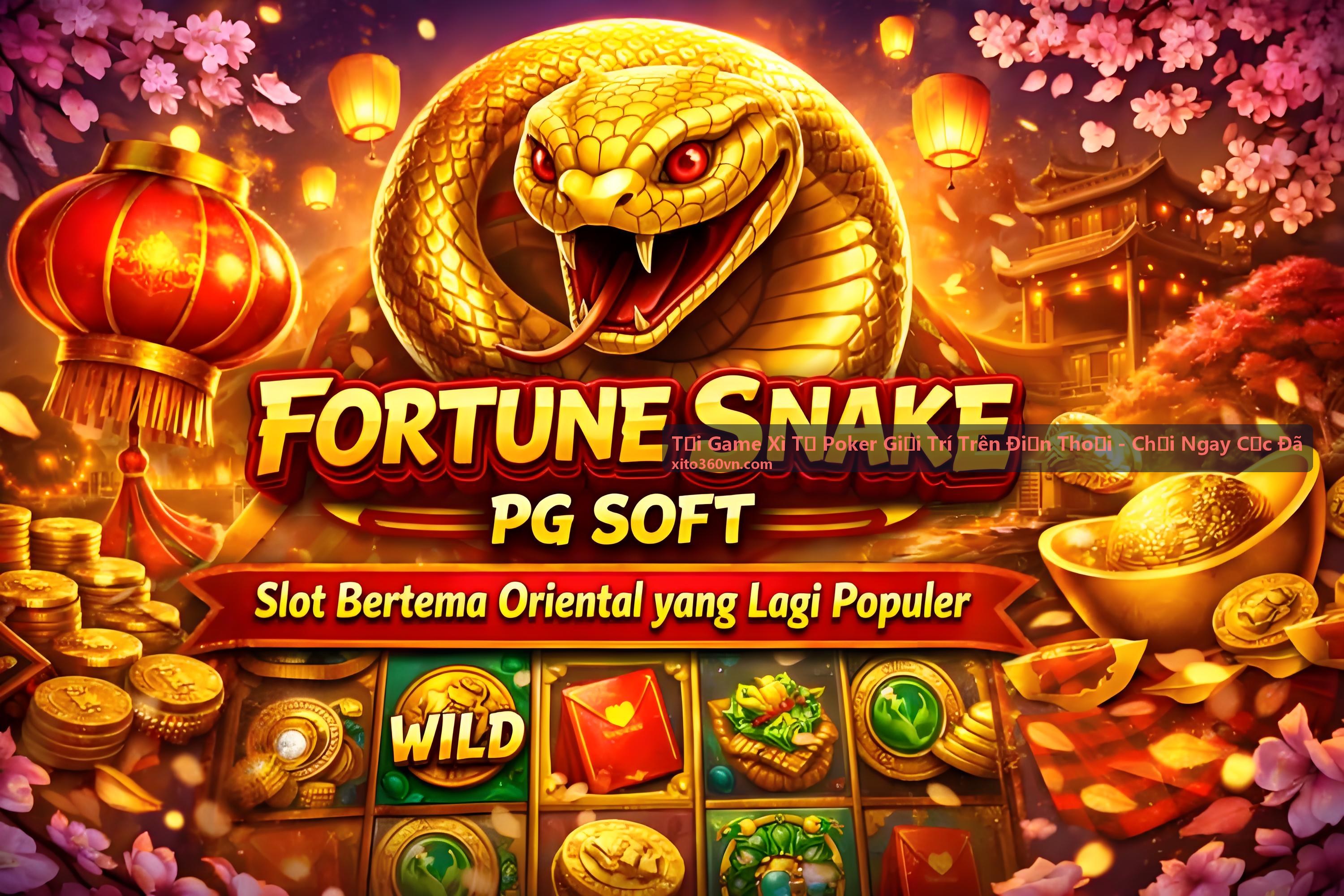 Tải Game Xì Tố Poker Giải Trí Trên Điện Thoại Nhanh